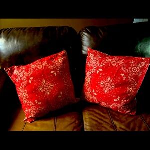 Two Decorative couch pillows listing includes two pillows